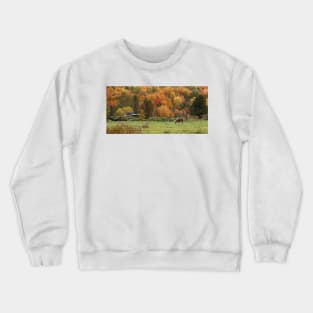 Fall Horse, Lake Ste-Marie, Quebec Crewneck Sweatshirt